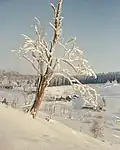Rehefeld-Zaunhaus&nbsp;(de)