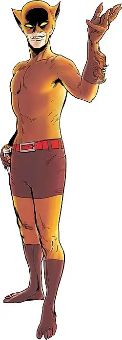 Image illustrative de l’article Fox-Boy