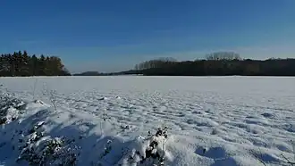 Le Boischaut Nord hivernal en 2010.