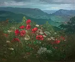 Coquelicots devant la vallée.