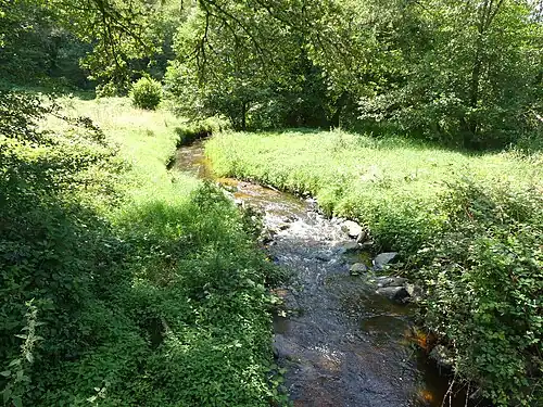 Le ruisseau de Fragne au lieu-dit le Moulin de la Roche, à Ladapeyre.