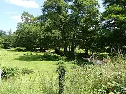 La vallée du ruisseau de Fragne au lieu-dit le Moulin de la Roche.