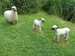 Moutons et agneaux dans le parc de la Fondation Gianadda à Martigny dans le canton du Valais en Suisse.