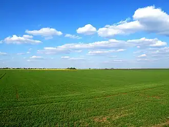 Image illustrative de l’article Finage dolois