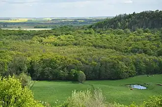 Vue sur le paysage d'Argonne depuis Beaulieu-en-Argonne, à l'est.