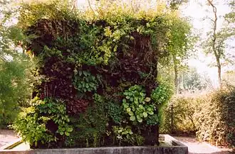 Mur végétal.