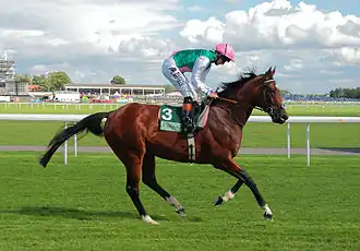 Image illustrative de l’article Frankel
