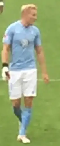 Image illustrative de l’article Franz Brorsson