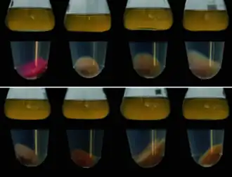 Description de cette image, également commentée ci-après