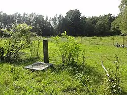 Le puits dans son environnement.