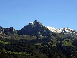 Vue du Fronalpstock.