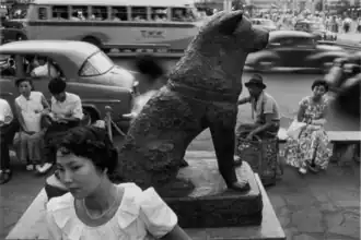 La statue d'Hachikō en 1954.