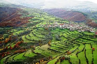 Šajinovac (Dragaš)