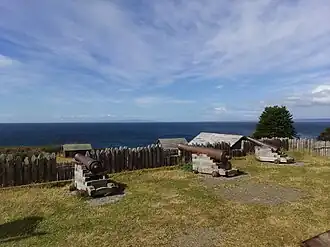 Canons du Fort Bulnes.