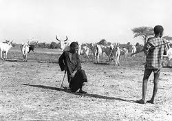 Bergers Peuls avec leur troupeau de fulani blancs