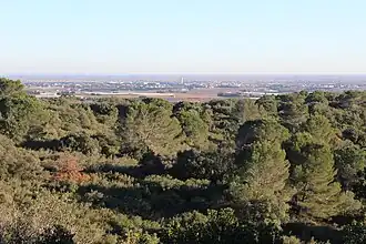 Au sud, Saint-Gilles et la plaine camarguaise.