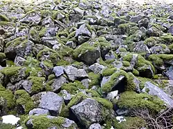 Éboulis granitiques.