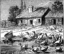 Description de cette image, également commentée ci-après