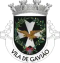 Blason de Gavião