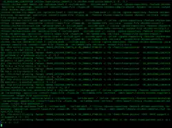 Description de l'image GCC 11.1.0 compiling Chicken screenshot.png.