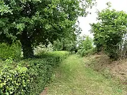 Le GR 41 à Saint-Julien-la-Genête (Creuse).