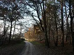 Le GR 646 au nord-ouest du village de Blis-et-Born.