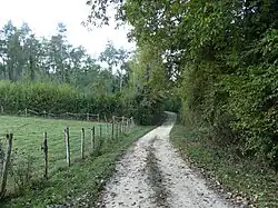 Le sentier de grande randonnée GR 654 près du lieu-dit les Bialles.