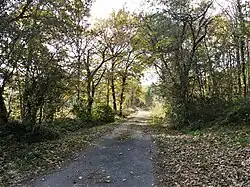 Le GR 654 près de la Croix de Menaut.