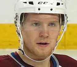 Photographie couleur de Landeskog