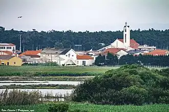Le village de Gafanha da Boa Hora.