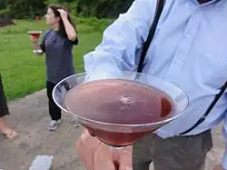 Gagarin Cocktail (du nom de Youri Gagarine) crème de cassis, champagne, vodka, cherry brandy et jus de citron.