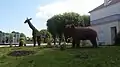 Lion girafe et éléphant 2019