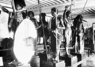 Galerie Ethnographique du musée de l'Artillerie en 1877