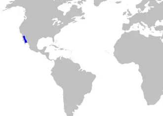 Description de l'image Galeus_piperatus_distmap.png.