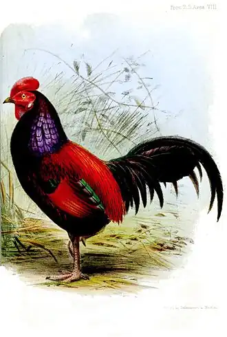 Description de cette image, également commentée ci-après