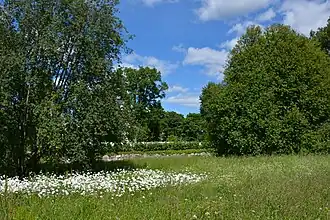 Le jardin baroque vu du sud.