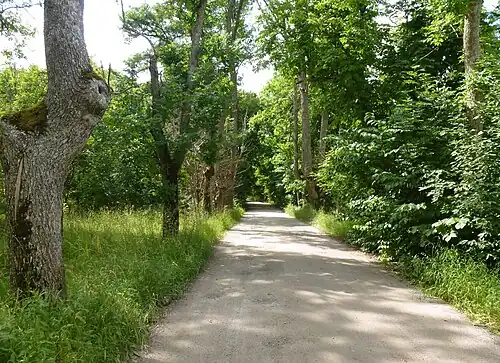 L'ancienne route Häradsvägen.