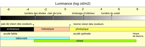 Les domaines de vision