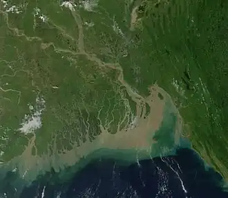 Image satellite du delta du Gange formant les embouchures du Gange et du Brahmapoutre (Inde et Bangladesh).