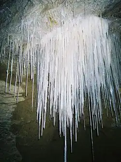 Stalactites dans la grotte de Gardner's Gut, Waikato, Nouvelle-Zélande.