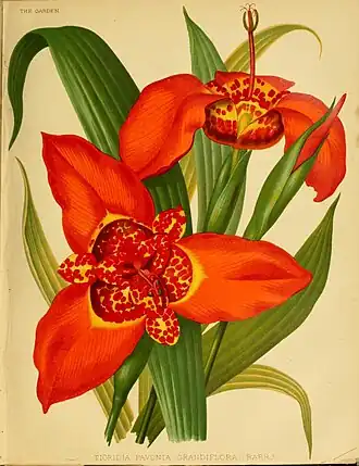 Description de cette image, également commentée ci-après