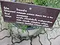 Panneau descriptif en thaï, au Jardin botanique de la reine Sirikit, en Thaïlande.