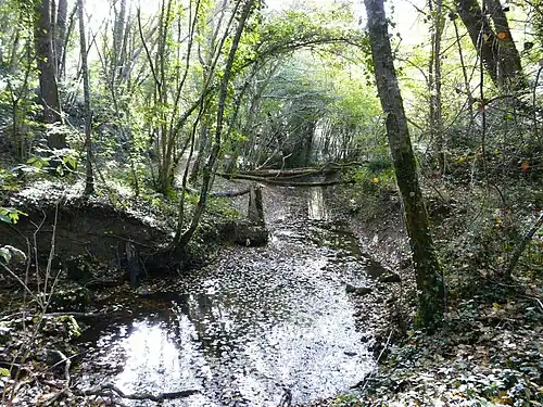 La Gardonnette en limite de Singleyrac (à gauche) et Rouffignac-de-Sigoulès.