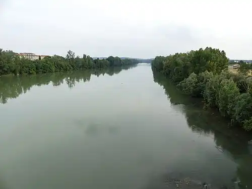 Vue prise vers l'amont depuis le pont de Pierre. Les 800 mètres en amont de ce pont font partie de la réserve.
