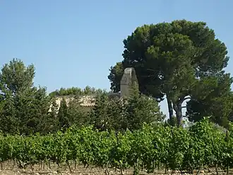 L'église Sainte-Cécile au milieu des vignes