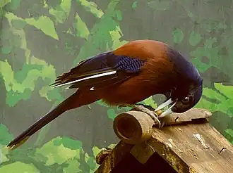 Description de cette image, également commentée ci-après