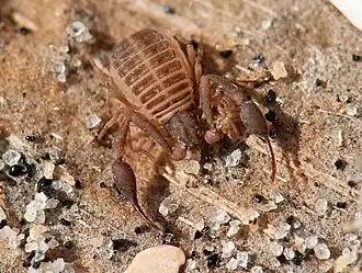 Description de cette image, également commentée ci-après