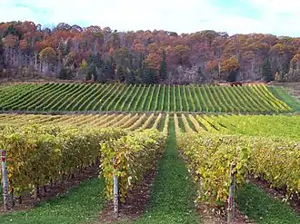 Gaspereau (Nouvelle-Écosse)