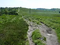 Chemin de crête du gazon du Faing avec vue vers le sud sur le Hohneck, et le Taubenklangfelsen à droite.