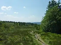 Le chemin qui vient de l'auberge du gazon du Faing.
